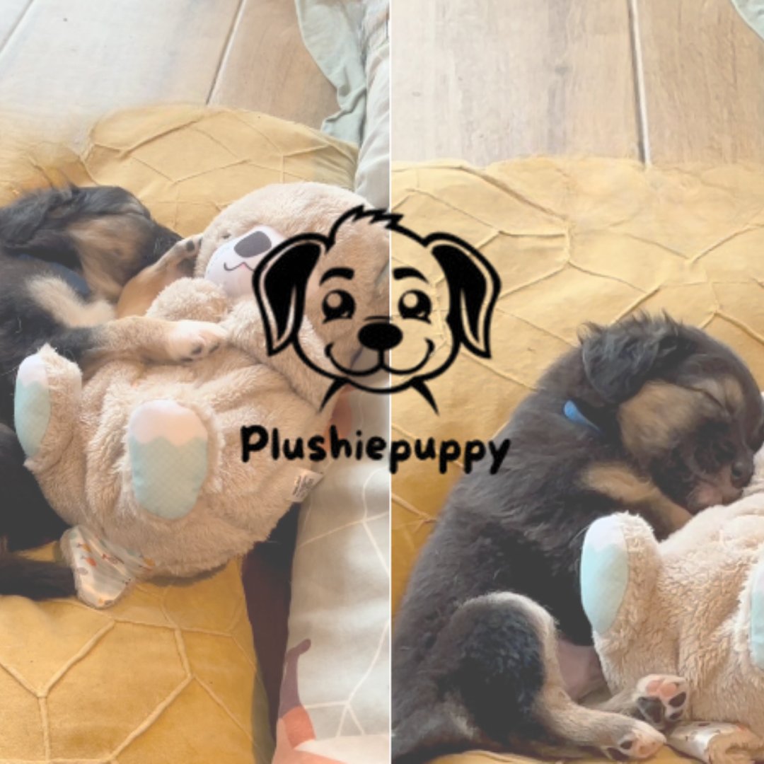 Plushiepuppy